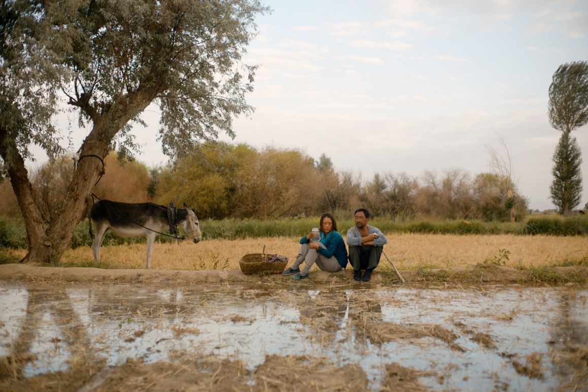 Film Return to Dust, China