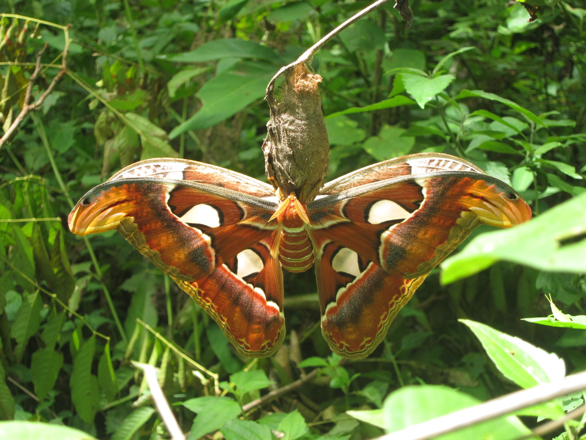 Biodiversität im Tourismus. CC0: Josef Thaler.