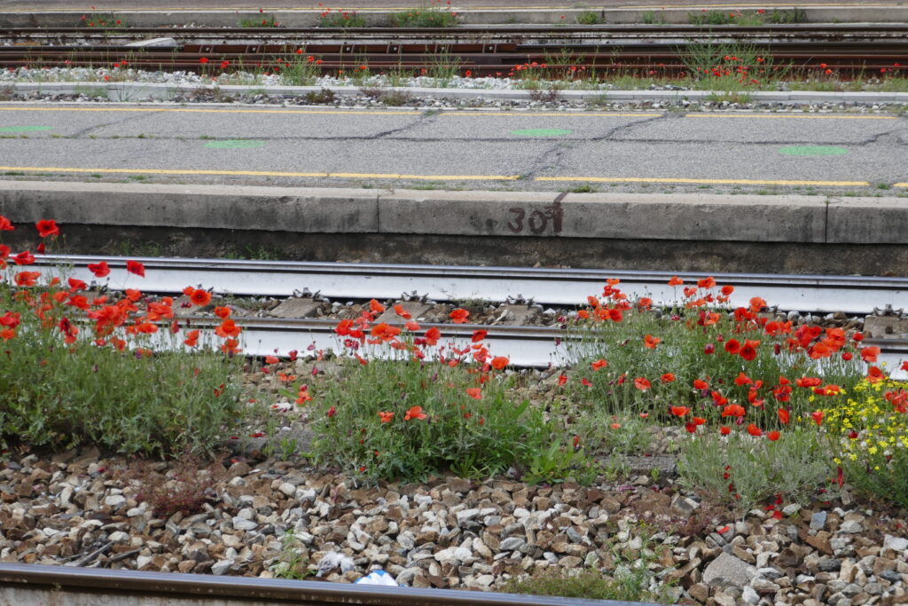Milano Stazione Greco Pirelli