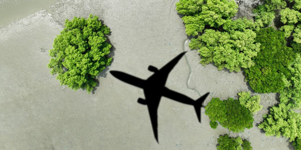 Sind Sustainable Aviation Fuels die Lösung?