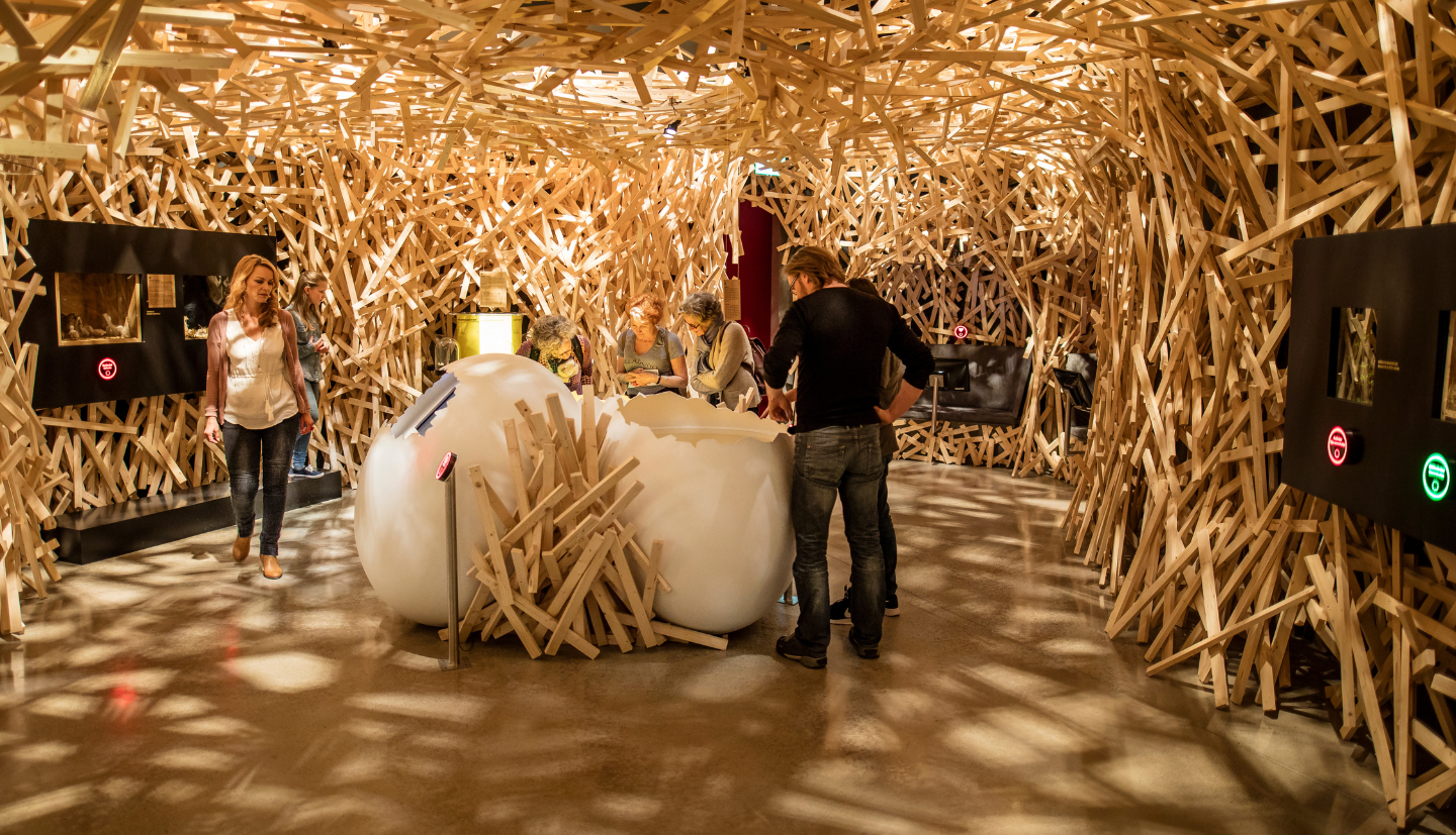 Animal’n’Rail Vogelwarte Sempach © SchweizerischeVogelwarte