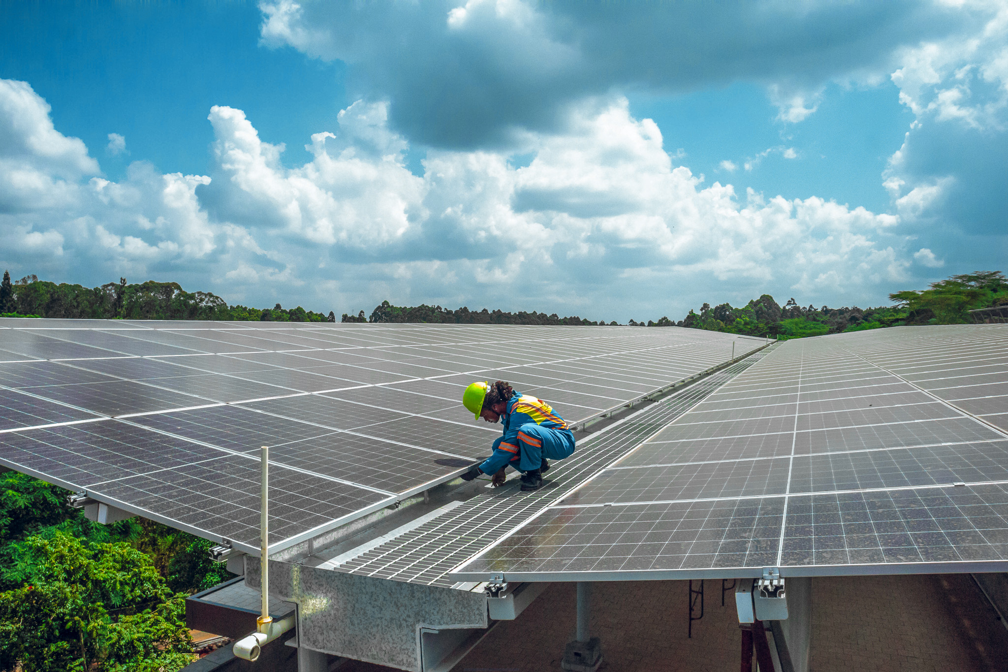 Damaris auf dem Dach