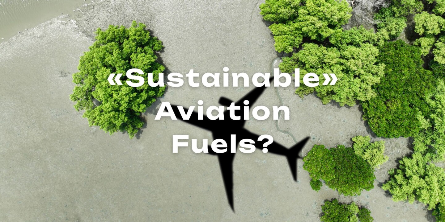 Sustainable Aviation Fuels - Hoffnung oder Illusion? - Teaser Magazin