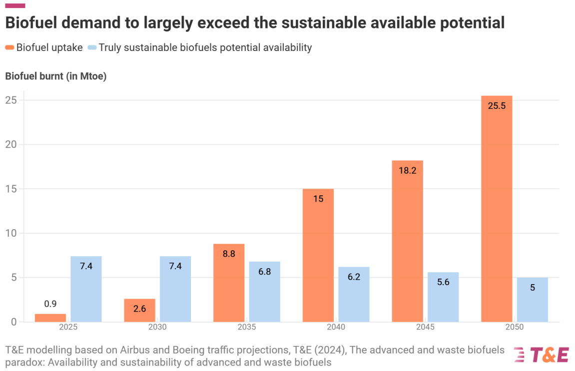 Beschreibung des Bildes